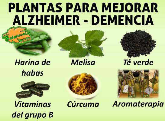 plantas medicinales