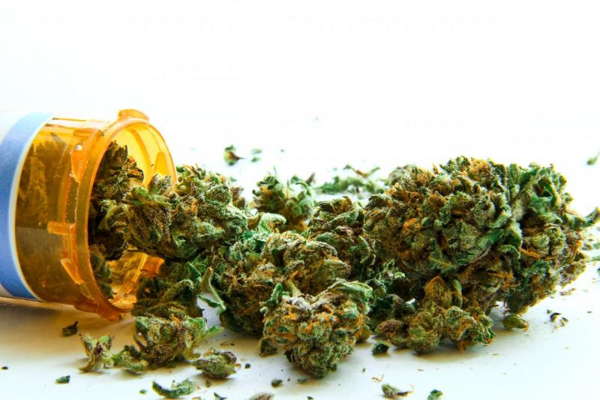 plantas medicinales