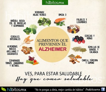 plantas medicinales