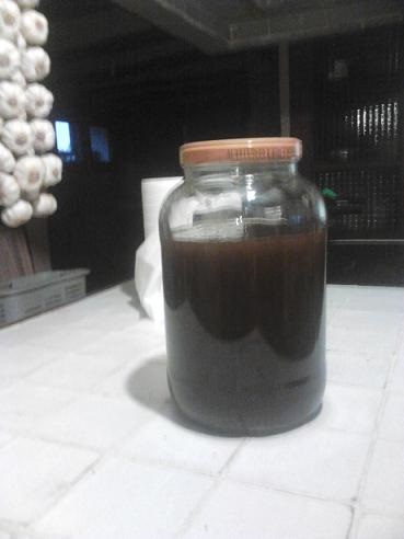 Apicultura