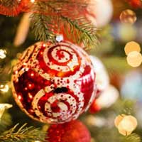 Felices Fiestas