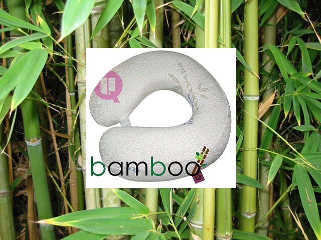 Bamboo