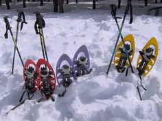 trekking en la nieva con raquetes