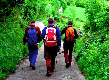 Senderismo: Aprende a Usar los Bastones de Trekking