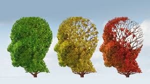 ALZHEIMER Algunos Mitos Actuales