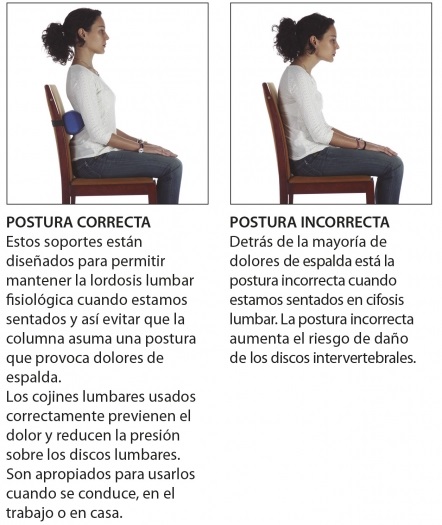 Postura Correcta-Incorrecta Cojines Lumbar Rolls