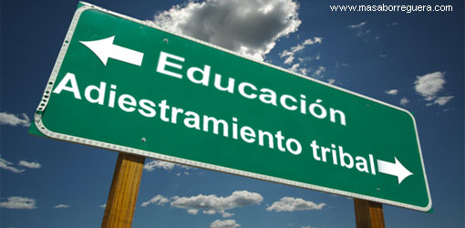 Enseñanza se ha Politizado 