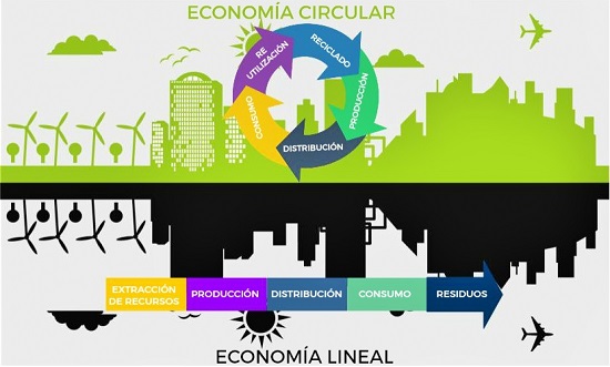 Reutilizar Productos: Economía Circular