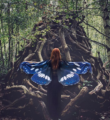 almohada mariposa