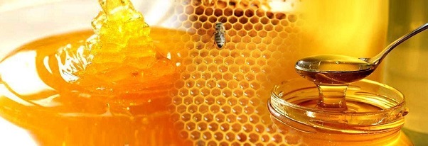 abejas
