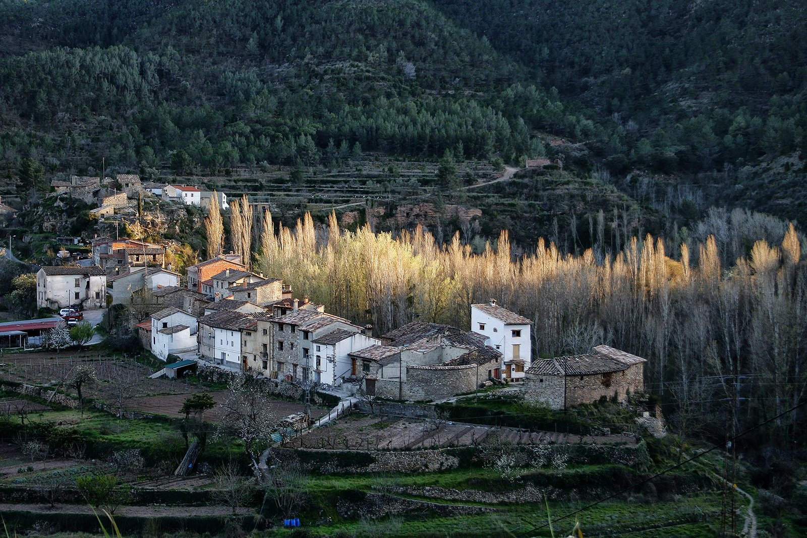 olba teruel