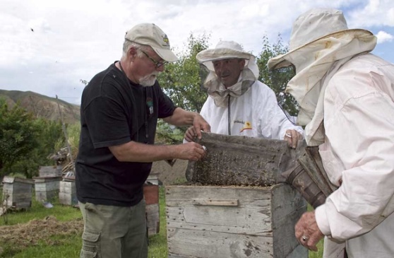 personas con colmena de abejas