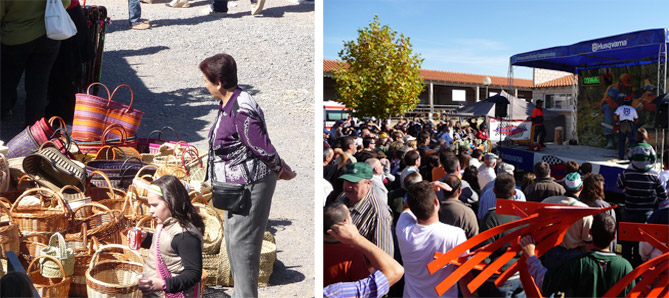 feria de cedrillas