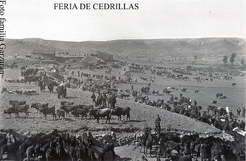 feria de cedrillas