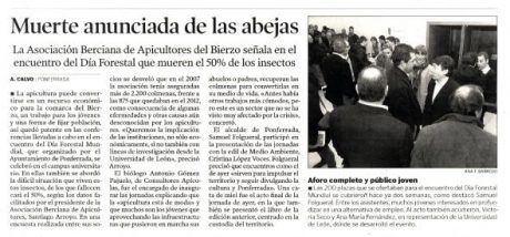 abejas y setas