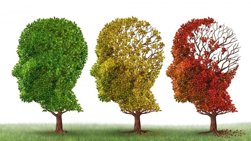 Como adaptar la vida y vivienda acorde al Alzheimer