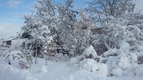 TERUEL EXISTE y Con Nieve. Asister en Cedrillas