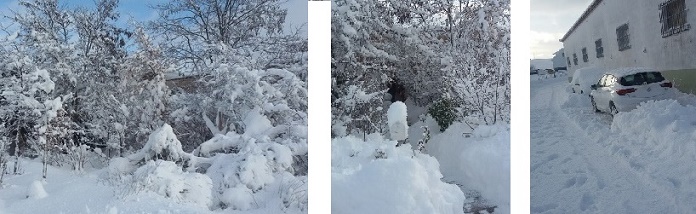 Con Nieve. Asister en Cedrillas