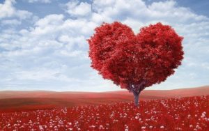 arbol salud cardiovascular